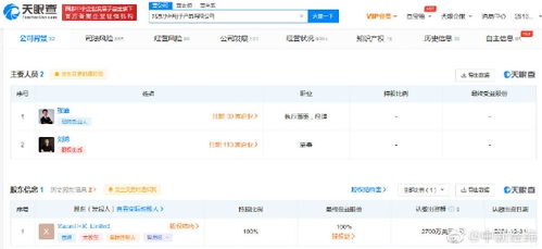 雷軍卸任小米電子產(chǎn)品公司董事長(zhǎng) 對(duì)計(jì)算機(jī)軟件開(kāi)發(fā)業(yè)務(wù)的影響
